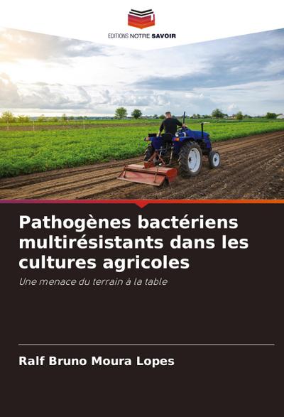 Pathogènes bactériens multirésistants dans les cultures agricoles