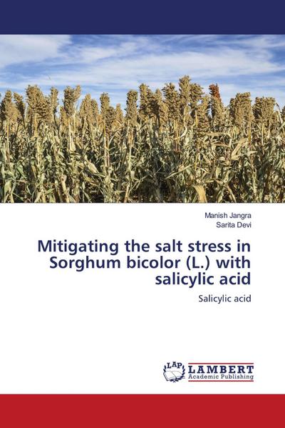 Mitigating the salt stress in Sorghum bicolor (L.) with salicylic acid
