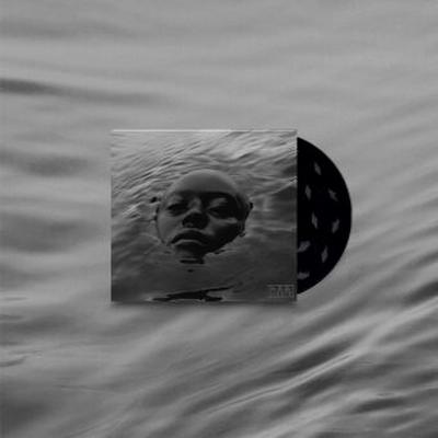 Raven, 1 Audio-CD (Gatefold CD)