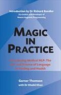 Magic in Practice