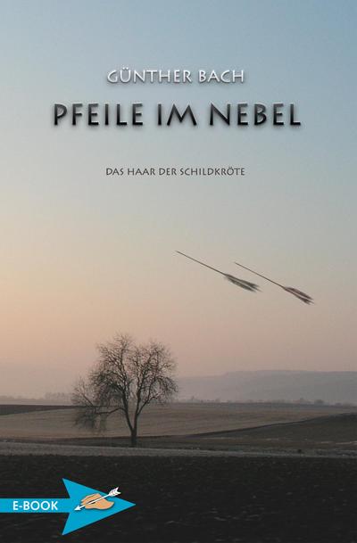 Pfeile Im Nebel