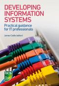 Developing Information Systems