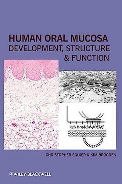 Human Oral Mucosa