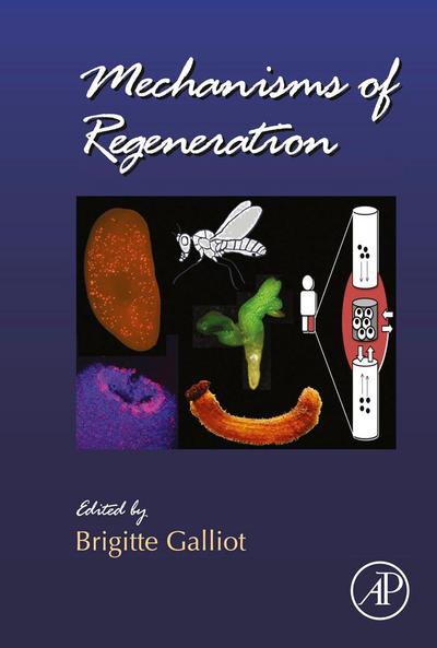 Mechanisms of Regeneration