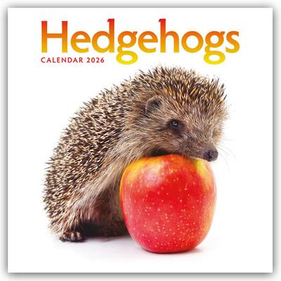 Hedgehogs - Igel 2026 - Wand-Kalender