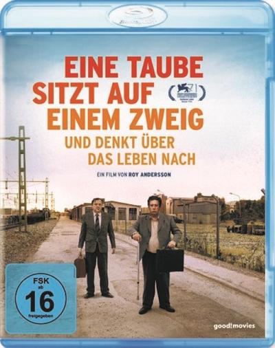 Eine Taube sitzt auf einem Zweig und denkt über das Leben nach