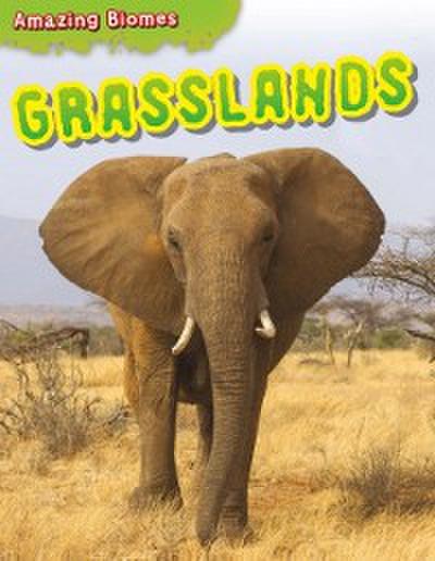Grasslands