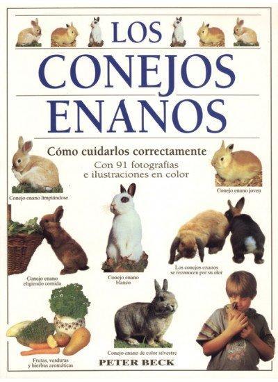 Los conejos enanos : cómo cuidarlos correctamente