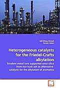 Heterogeneous catalysts for the Friedel-Crafts alk