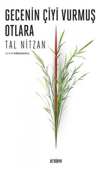 Gecenin Ciyi Vurmus Otlara