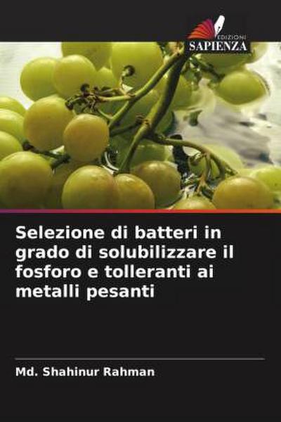 Selezione di batteri in grado di solubilizzare il fosforo e tolleranti ai metalli pesanti