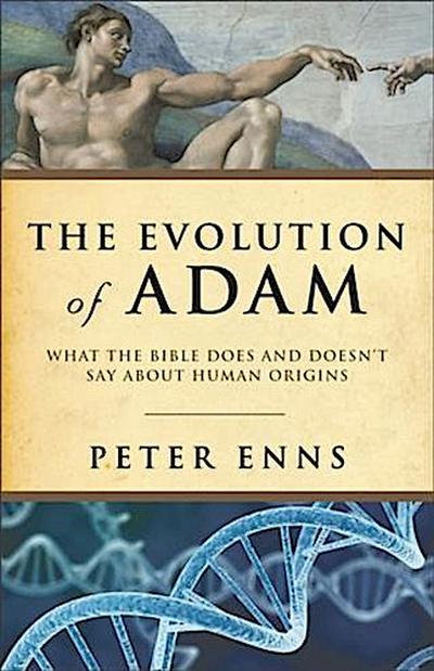 Evolution of Adam