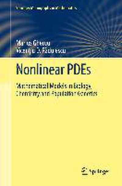 Nonlinear PDEs