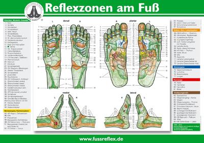 Reflexzonen am Fuß