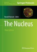 The Nucleus