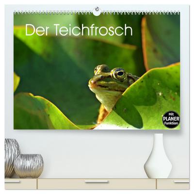 Der Teichfrosch (hochwertiger Premium Wandkalender 2024 DIN A2 quer), Kunstdruck in Hochglanz