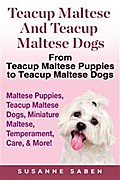 Teacup Maltese and Teacup Maltese Dogs