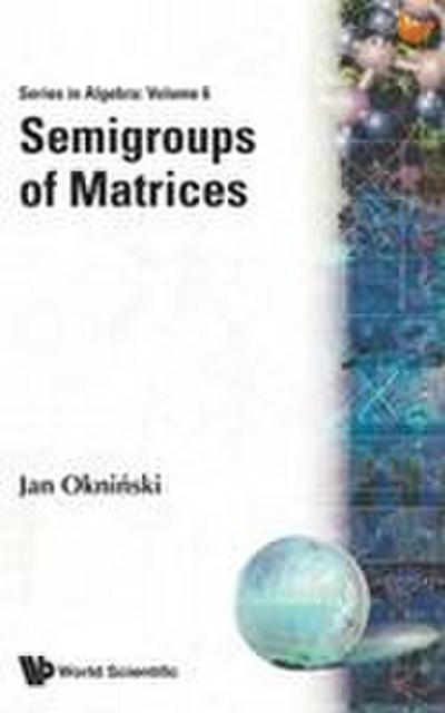 SEMIGROUPS OF MATRICES              (V6)