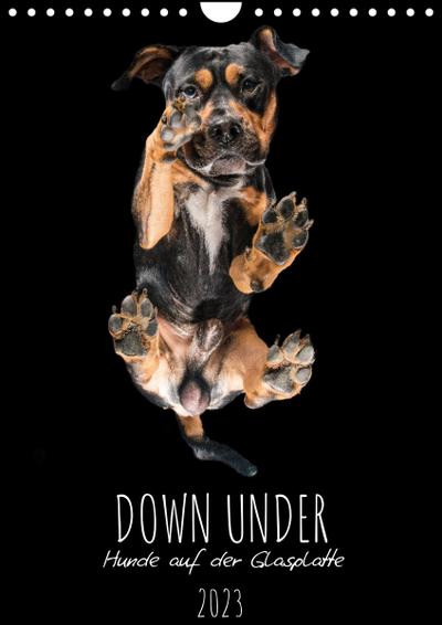 Down Under - Hunde auf der Glasplatte (Wandkalender 2023 DIN A4 hoch)