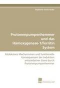 Protonenpumpenhemmer und das Hämoxygenase-1/Ferritin System