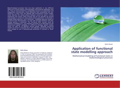 Application of functional state modelling approach
