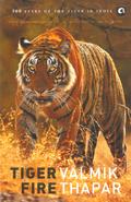 Tiger Fire