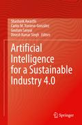 Artificial Intelligence for a Sustainable Industry 4.0