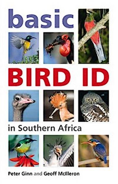 Basic Bird ID in Southern Africa