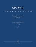 Fantasie für Harfe in c-Moll op. 35