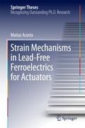 Strain Mechanisms in Lead-Free Ferroelectrics for 