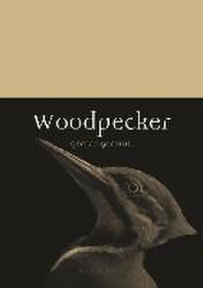 Woodpecker