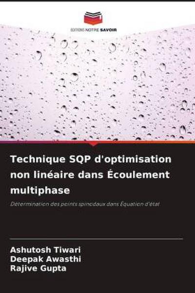 Technique SQP d’optimisation non linéaire dans Écoulement multiphase