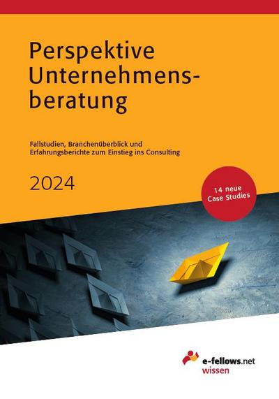 Perspektive Unternehmensberatung 2024