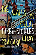The Walls of Delhi