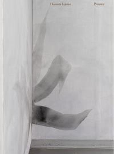 Dominik Lejman. Presence