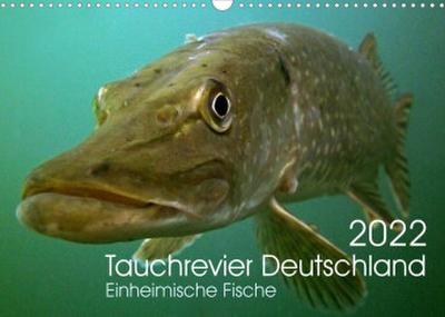 Tauchrevier Deutschland (Wandkalender 2022 DIN A3 quer)