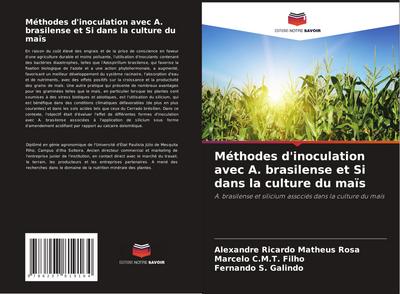Méthodes d’inoculation avec A. brasilense et Si dans la culture du maïs