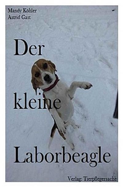 Der kleine Laborbeagle