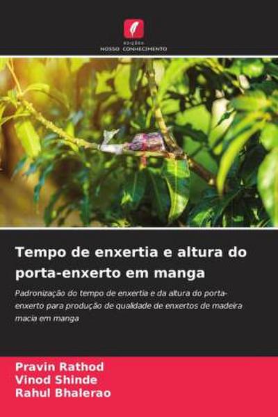 Tempo de enxertia e altura do porta-enxerto em manga