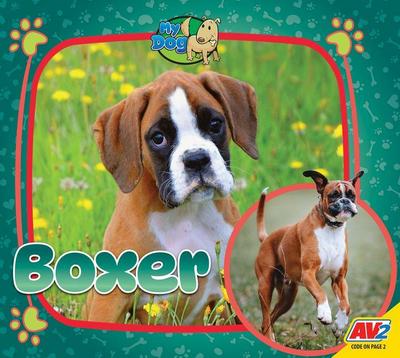 Boxer