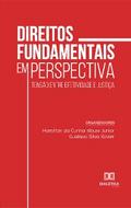Direitos fundamentais em perspectiva