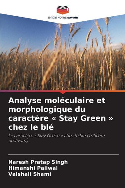 Analyse moléculaire et morphologique du caractère ’ Stay Green ’ chez le blé