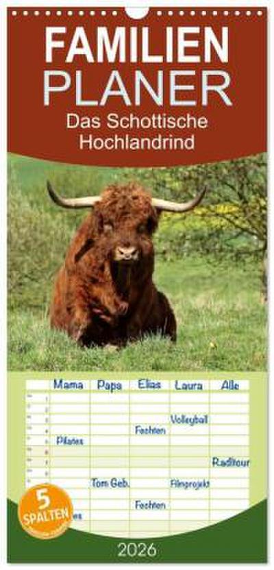 Familienplaner 2026 - Das Schottische Hochlandrind mit 5 Spalten (Wandkalender, 21 x 45 cm) CALVENDO
