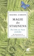 Magie des Staunens