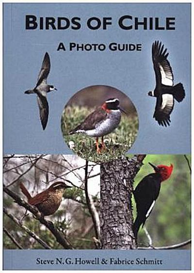 Birds of Chile