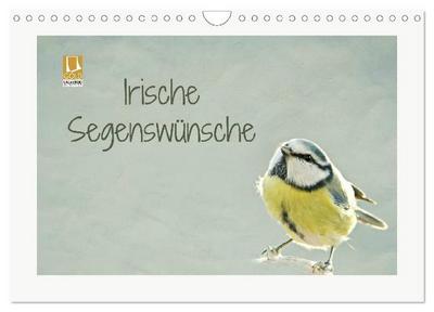 Irische Segenswünsche (Wandkalender 2027 DIN A4 quer), CALVENDO Monatskalender