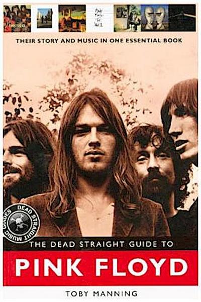 The Dead Straight Guide to Pink Floyd