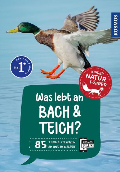 Was lebt an Bach und Teich?