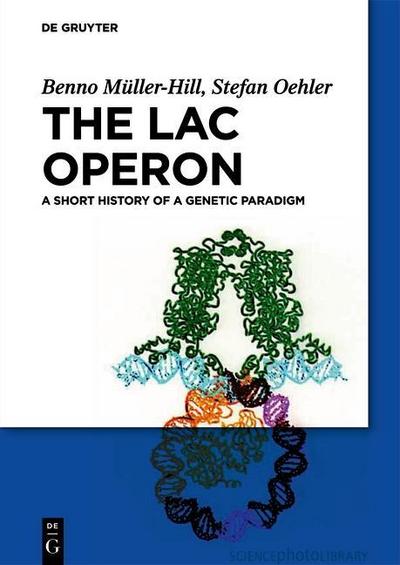 The lac Operon