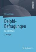 Delphi-Befragungen